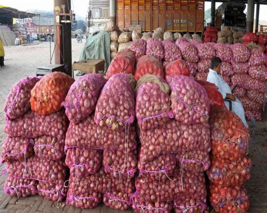 Central government imposes stock limit on traders, bans export of onions