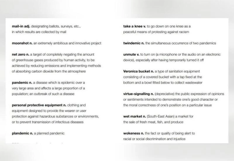 What are some of the words of the year 2020 as per Oxford?