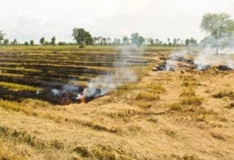 सुप्रीम कोर्ट ने पराली की निगरानी के लिए समिति बनाने के फैसले पर लगाई रोक