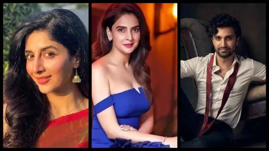 भारत ने दिखाई नरमी, पाकिस्तानी सोशल मीडिया अकाउंट्स और वेबसाइट्स पर लगा बैन हटा