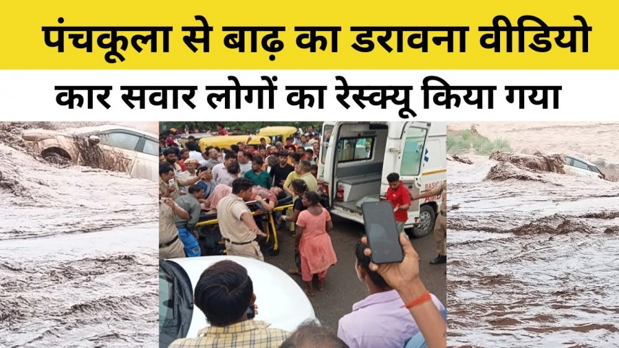 Weather Update Women's book with car in Panchkula, Haryana Video, 4