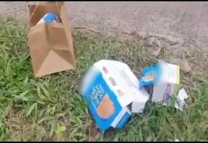 Tourists who threw pizza boxes on K'taka road forced to go back 80km to pick trash