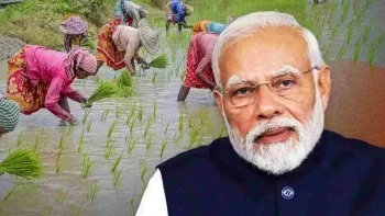 दिवाली से पहले किसानों को तोहफा, पीएम किसान की 24वीं किस्त जारी: जानिए क्या है पूरा मामला