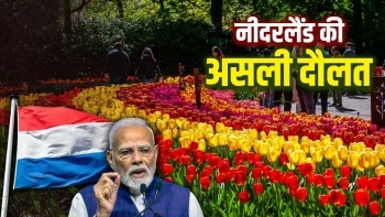 PM Modi Netherlands Visit: The Secret Behind This Small Nation's Trillion Dollar Wealth