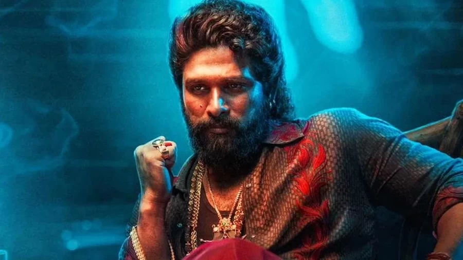 कहानी से एक्शन तक, ये 5 वजहें हैं अल्लू अर्जुन की 'पुष्पा 2' देखने की