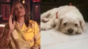 Radhika Madan shares a hilarious ‘Indian Matchmaking’ spoof featuring her dog Breezer