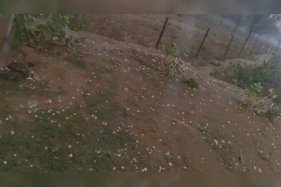Rajasthan Weather Update: Western Disturbance Triggers Heavy Rain And Hailstorm In Jaipur And Sikar