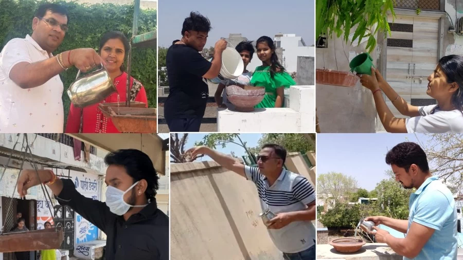 लॉकडाउन में युवाओं का पर्यावरण और प्रकृति की सेवा का अनूठा प्रयास, पाली के युवा की मुहिम से जुड़ रहे सैकड़ों लोग