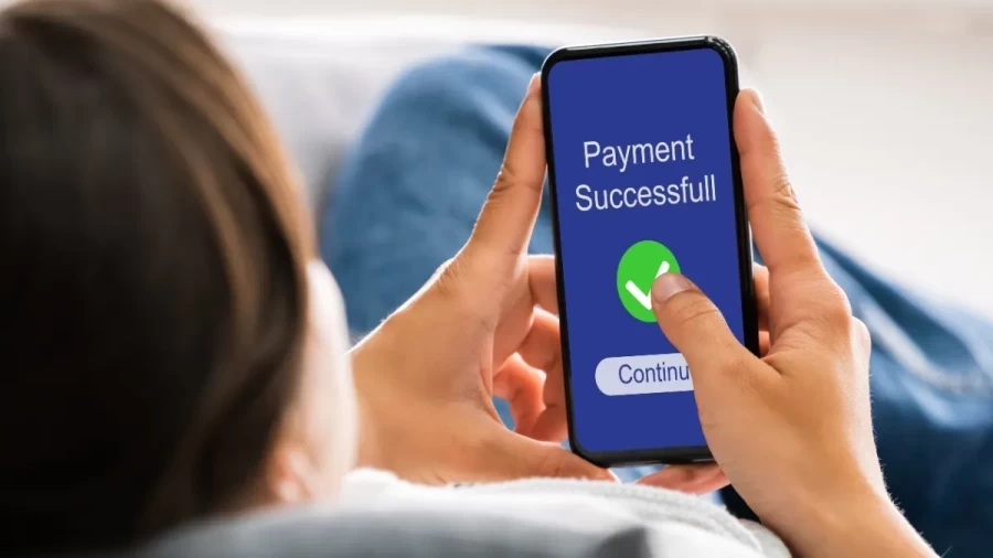 RBI Security Overhaul: Kill Switch and Delayed Credit to Stop Online Fraud