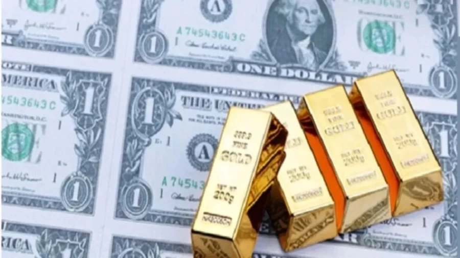 भारत का विदेशी मुद्रा भंडार $9.06 अरब बढ़ा, $697.12 अरब के पार