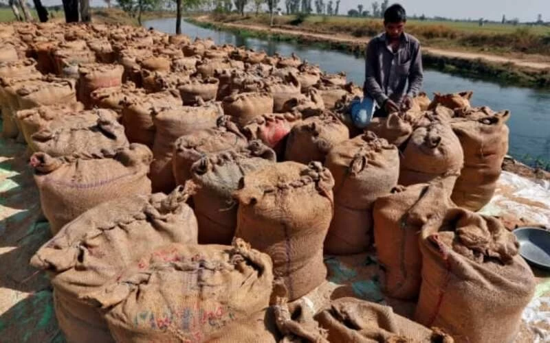 चावल के एक्सपोर्ट पर भारत के बैन से दुनिया में अफरातफरी, बढ़ गई महंगाई