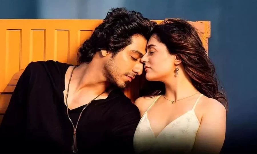 After earning 500 crores, Anit and Ahan will dominate OTT, know where they will be released