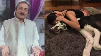 Sakina Jaffrey: Daughter of Saeed Jaffrey Establishing a Career in Hollywood