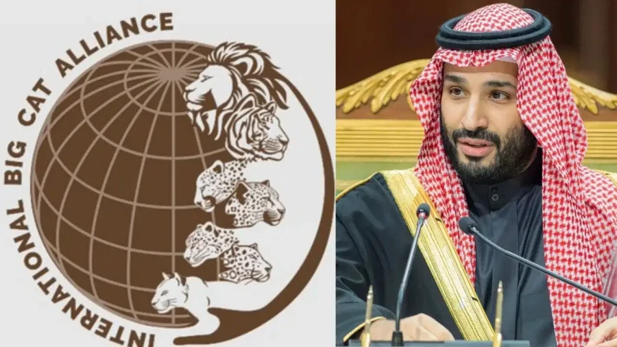 Saudi Arabia Joins International Big Cat Alliance As The 26th Member