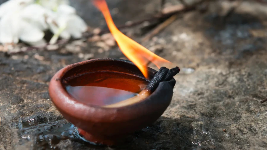 Sawan 2026: Rare Conjunction of Last Monday and Putrada Ekadashi, Rituals Explained