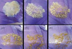 Scientists create cosmic dust using common kitchen microwave