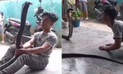 When this boy started dancing with the king cobra, picked up the snake in his hand and then