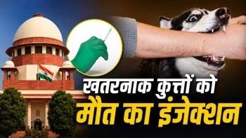 Supreme Court Stray Dog Verdict: Article 21 Invoked for Public Safety and Euthanasia