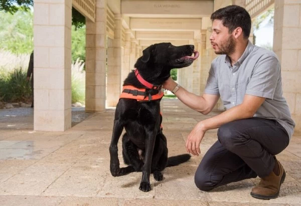 रिमोट से कंट्रोल होने वाला दुनिया का पहला कुत्ता, वाइब्रेशन से समझता है इशारे