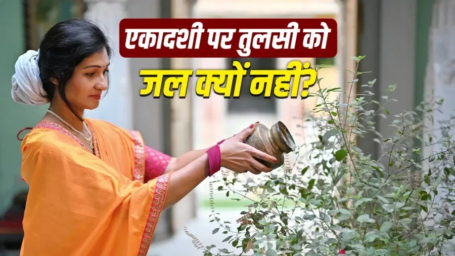 एकादशी तुलसी पूजा नियम: क्या एकादशी पर तुलसी को जल देना चाहिए? जानें सही विधि