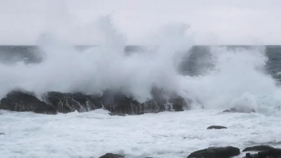 Taiwan Typhoon Champi Causes Closures And Over 600 Flight Cancellations