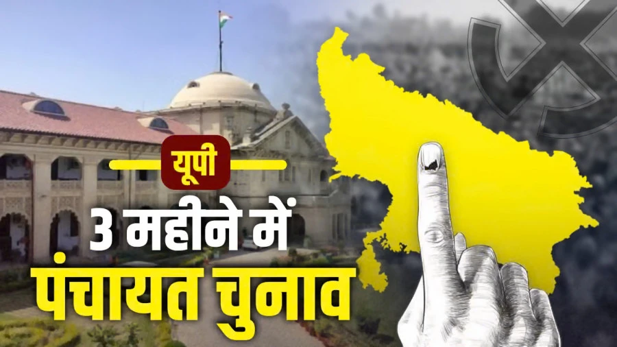 Allahabad High Court Orders UP Panchayat Elections Within 3 Months, Details Inside