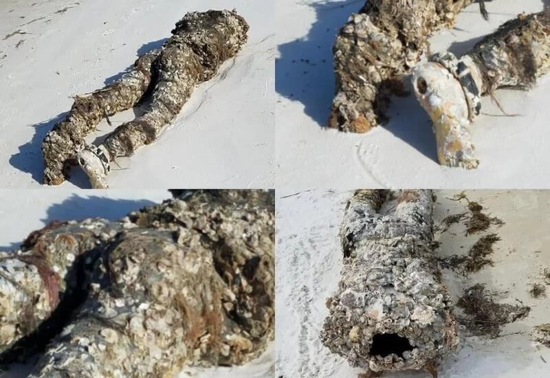 Woman calls 911 to report 'dead body' on US beach, it turns out to be mannequin