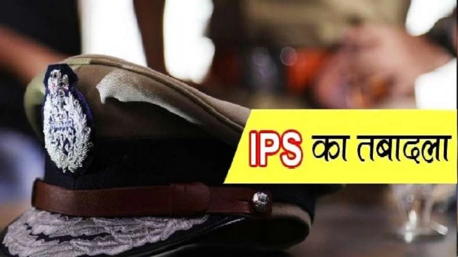 What are the educational qualifications for IPS?