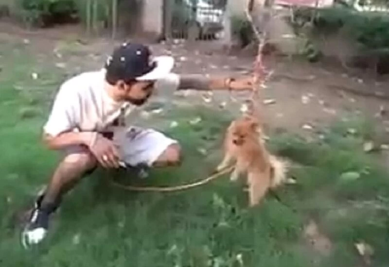 YouTuber tied Doggy in the air and flew Dogi, the police arrested