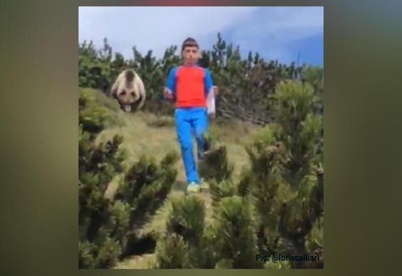 12yearold boy remains calm as bear follows him in Italy; video goes viral(00)