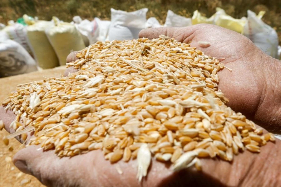 भारत के गेहूं को वाया पाक ट्रांसपोर्ट करने के तालिबान के अनुरोध पर विचार करेंगे: इमरान