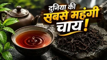 डा हांग पाओ: 9 करोड़ रुपये प्रति किलो है इस चाय की कीमत, जानिए खासियत